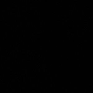 Meet your Posher, Jesse